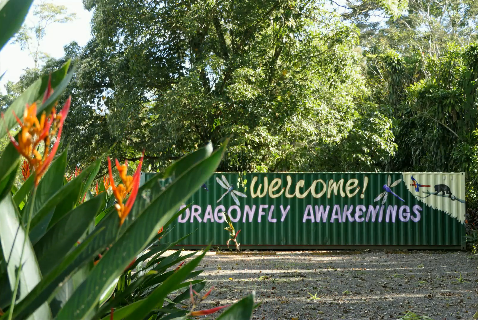 Everything you need to know about Ayahuasca Retreats